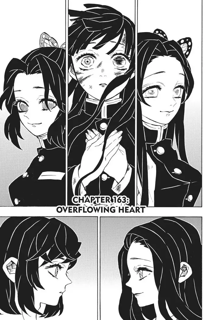 Demon Slayer Chapter 163 image 01_optimized